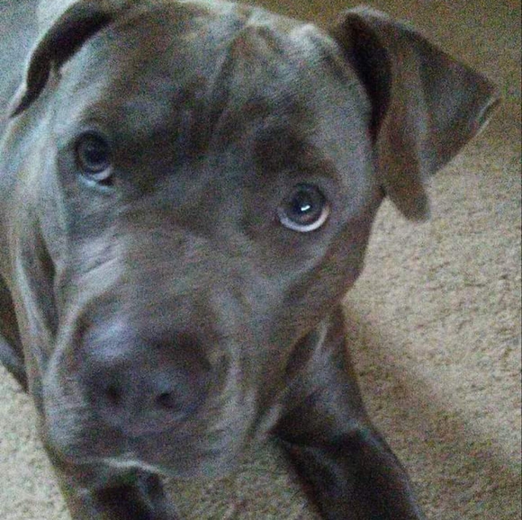 Meet your Posher, Brenda - Picture 2 of 5